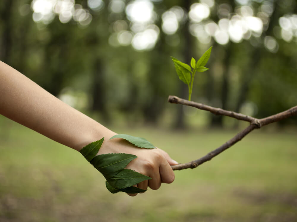 O que é o Licenciamento Ambiental? Esteja de acordo com a legislação!