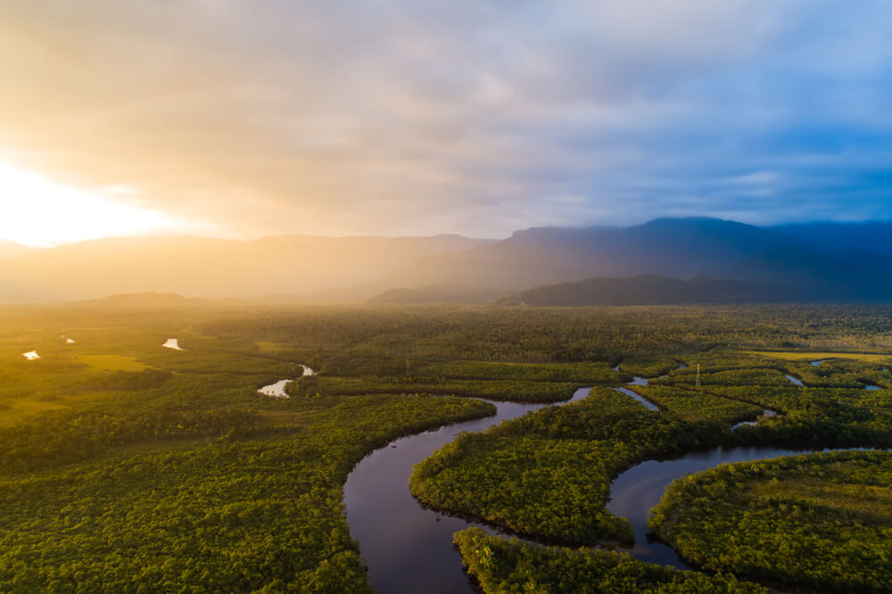 Dia da Amazonia: Por que precisamos preservar o maior bioma do país?