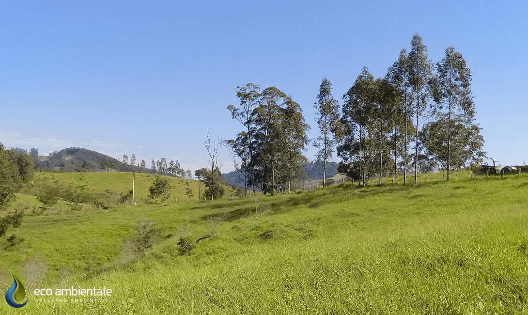 Estudo de Viabilidade Ambiental (EVA) em Propriedade Rural de Amparo