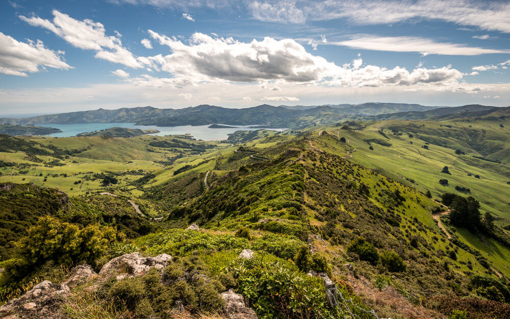 Cota de Reserva Ambiental (CRA) - O que é? Como funciona?