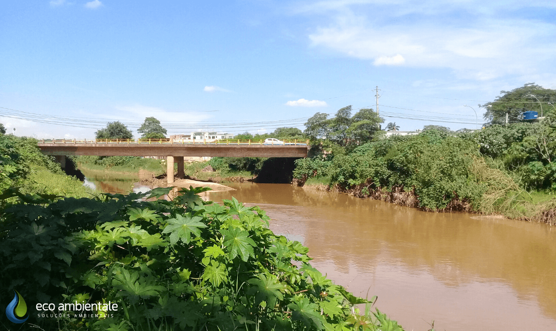 Projeto de Revegetação de Area de Preservacao Permanente - Case Eco Ambientale